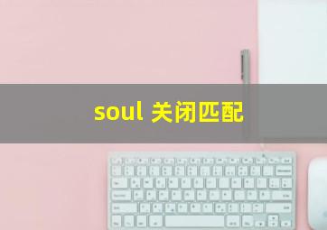 soul 关闭匹配